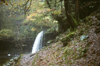 Go to Photos